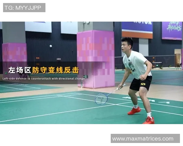 深入分析杭州羽毛球队区域防守战术及其在比赛中的应用效果