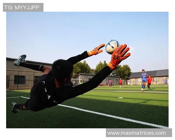 某某足球:探索足球背后的故事与激情,感受绿茵场上的梦想与奋斗